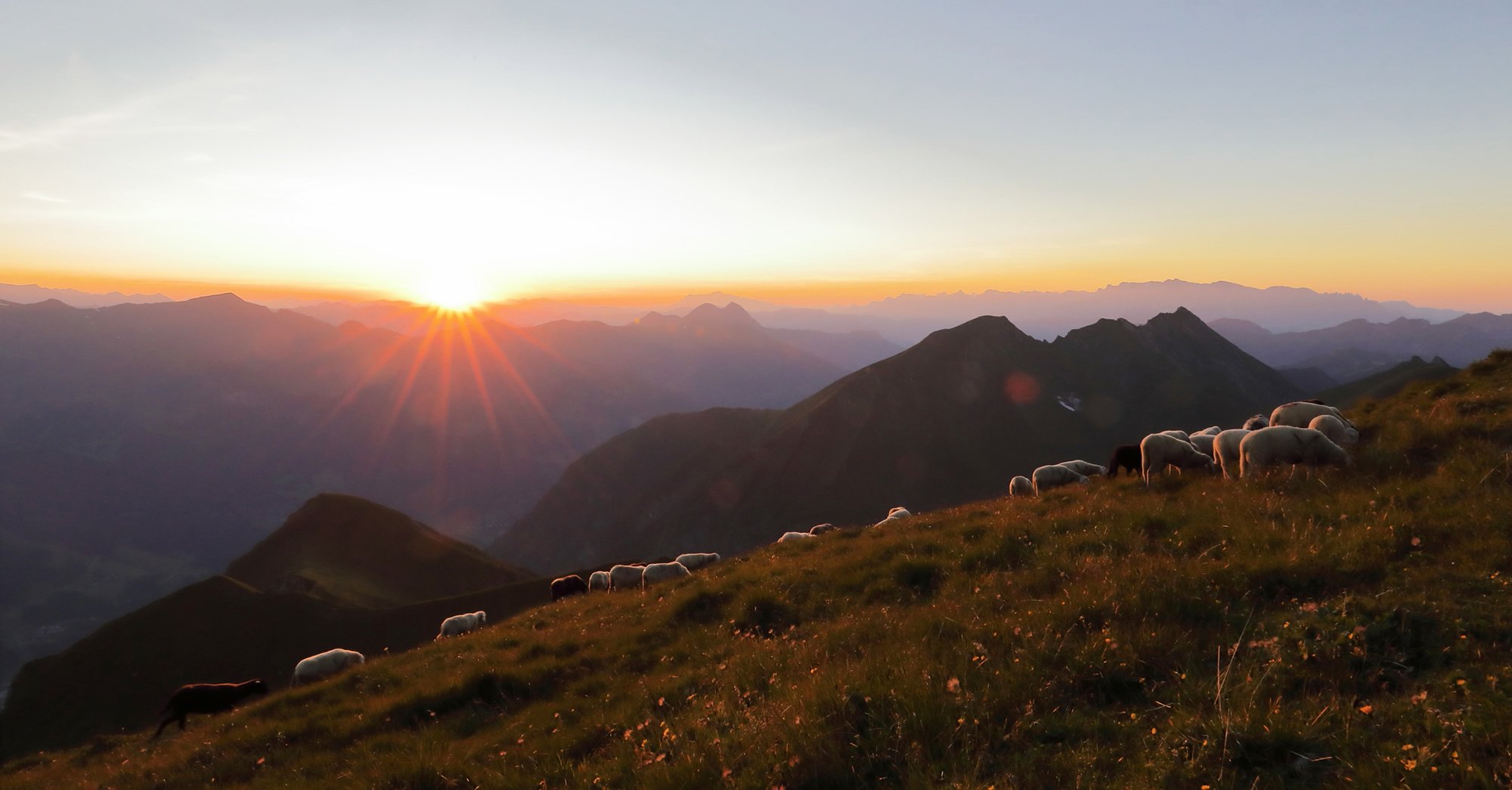 Sommerurlaub im Großarltal im Tal der Almen und wohnen in den Appartements Haus Wirnsperger in Großarl