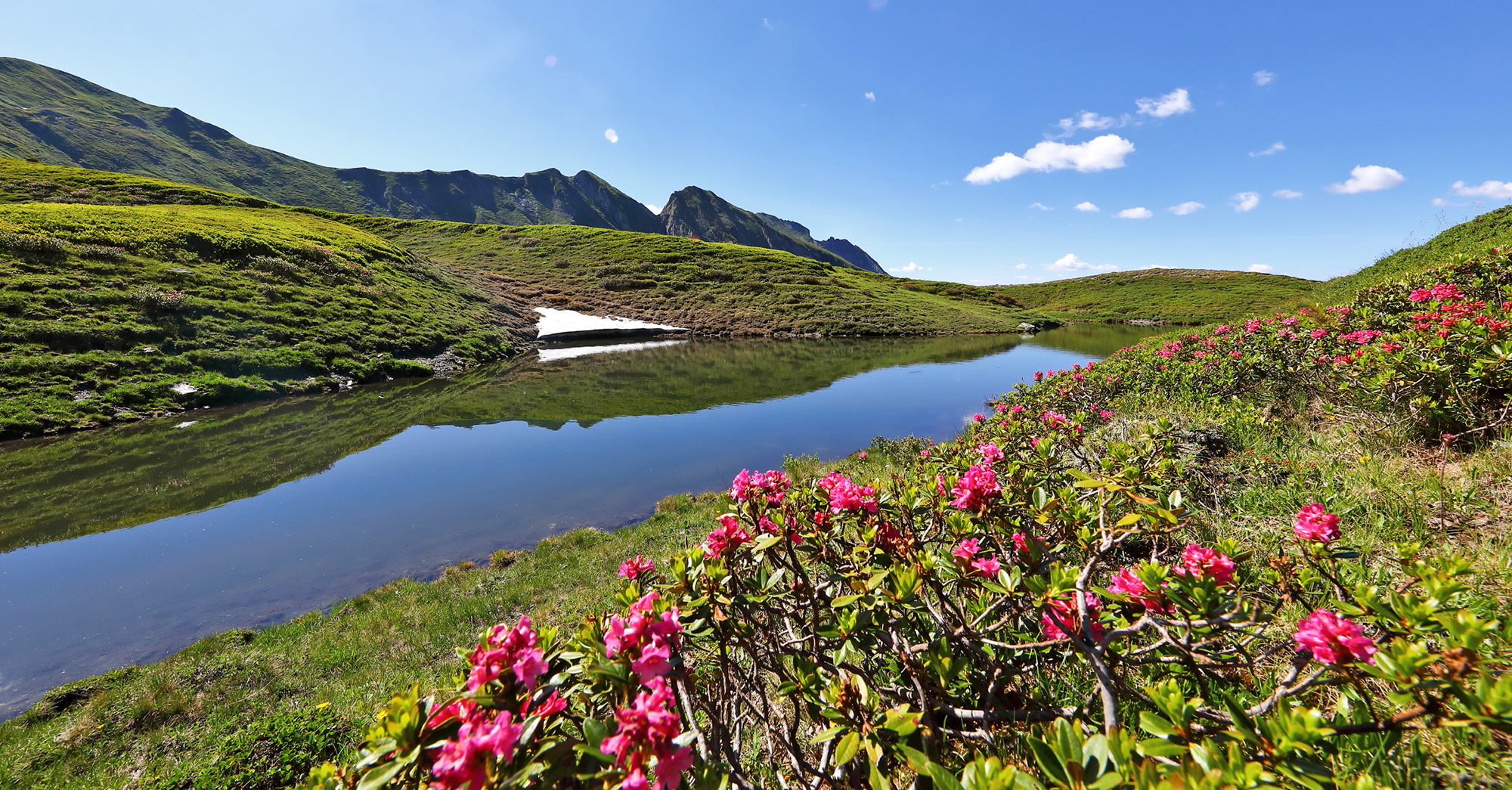 Sommerurlaub im Großarltal im Tal der Almen mitten im Salzburger Land in Österreich