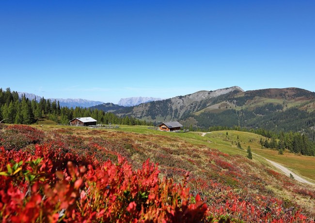 Wandern im Tal der Almen im Großarltal